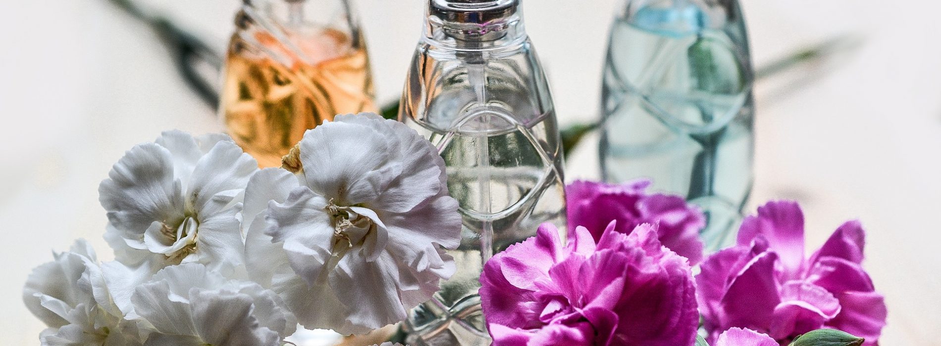Perfumy – co warto wiedzieć przed zakupem?