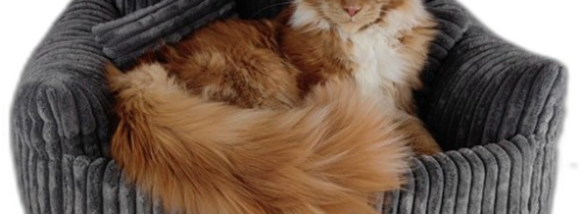 Jakie materiały są najlepsze dla legowisk?