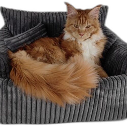 Jakie materiały są najlepsze dla legowisk?